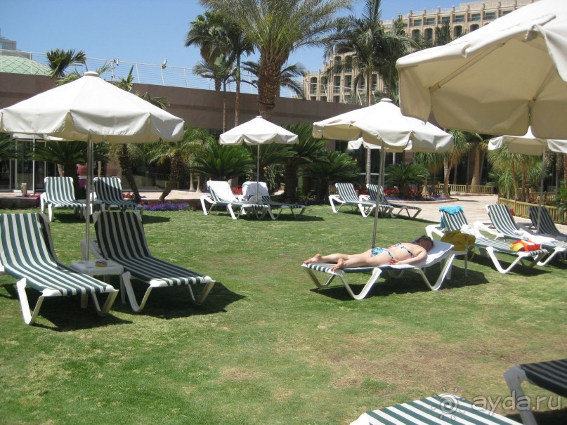 Отдых в Эйлате