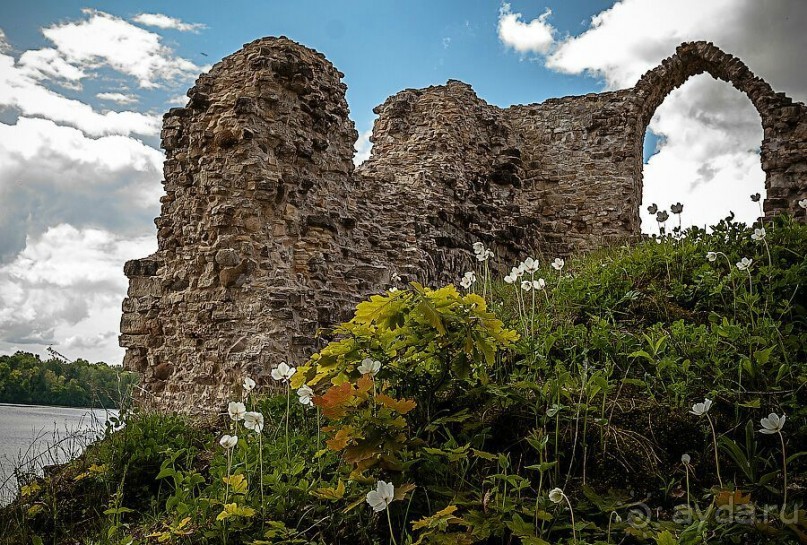 Развалины Кокнесского замка.