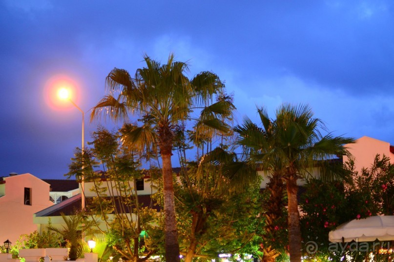 фото Sinatra Hotel