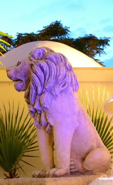 чамьюва синатра