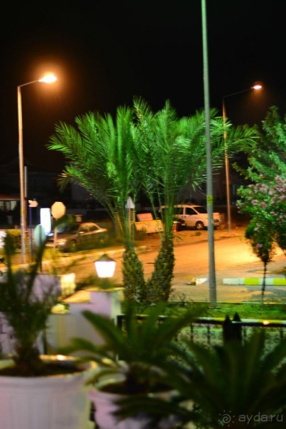 чамьюва синатра