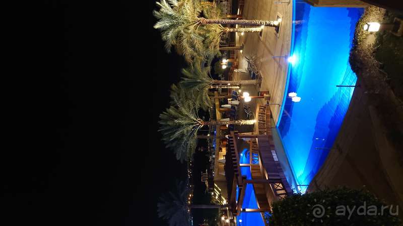 Здравствуй, Красное море!