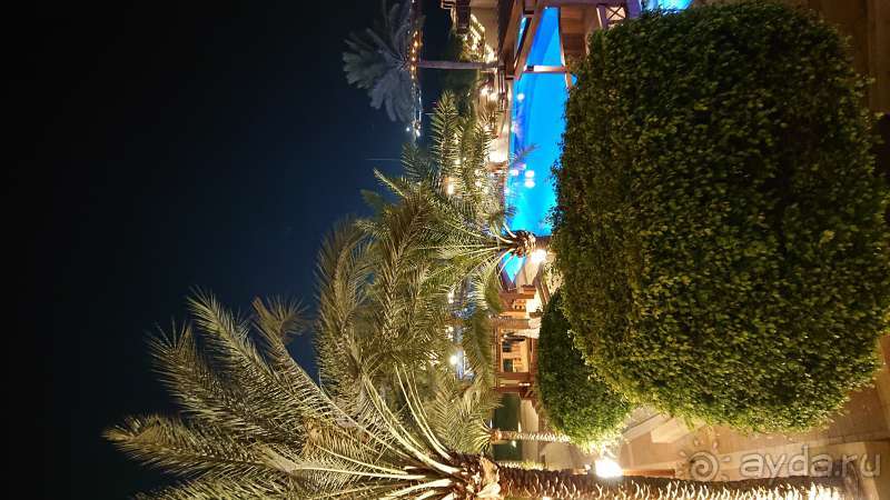 Здравствуй, Красное море!