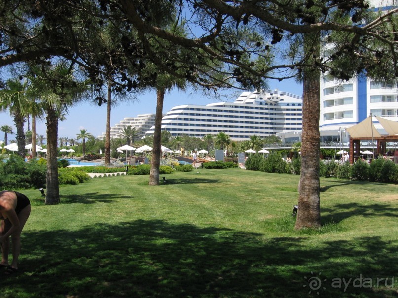 Отель Сдулся.