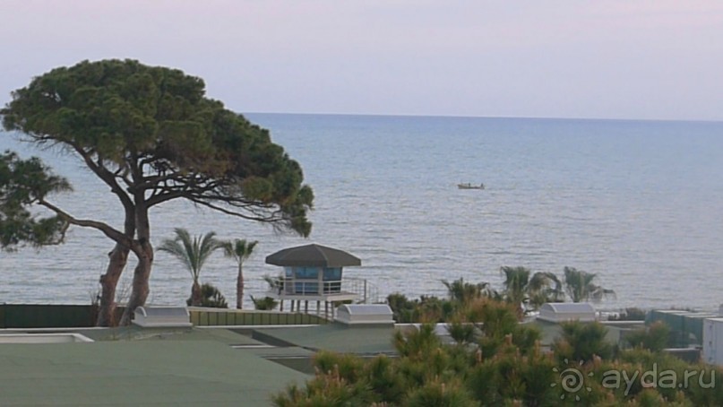 фото Pine Beach Belek