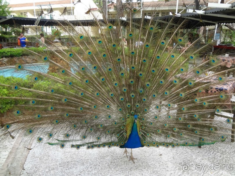 Спокойный отдых в Турции