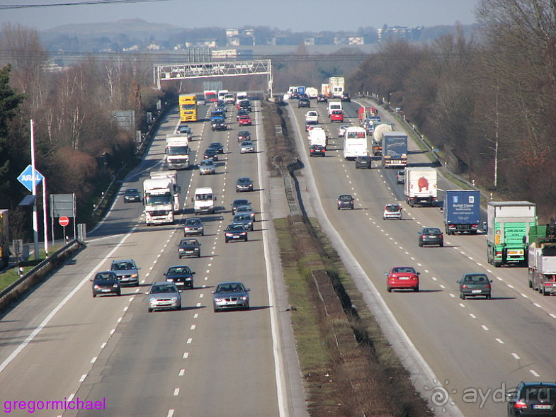 Альбом отзыва "Альсфельд - родина КРАСНОЙ ШАПОЧКИ"