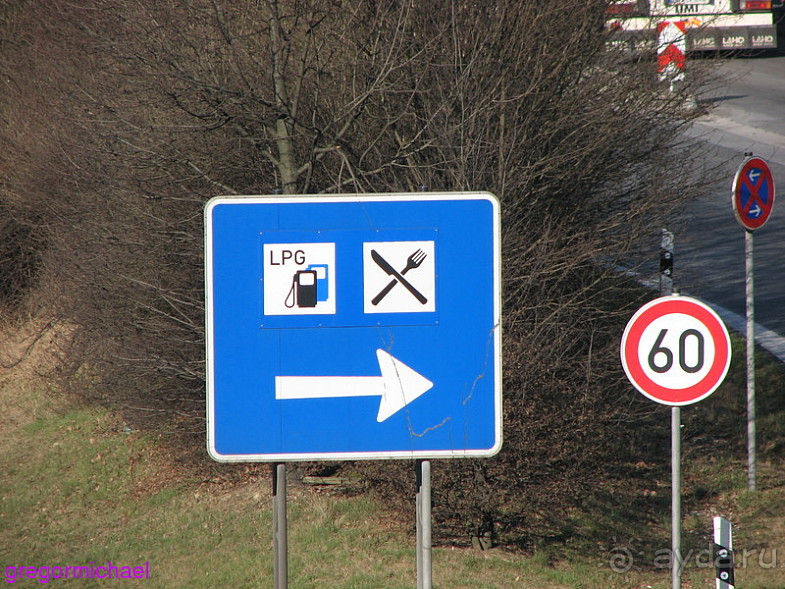 Альбом отзыва "Альсфельд - родина КРАСНОЙ ШАПОЧКИ"