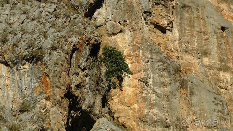 Ущелье Саклыкент. 