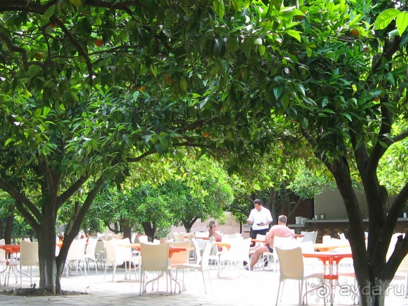 фото NoxInn Club Hotel