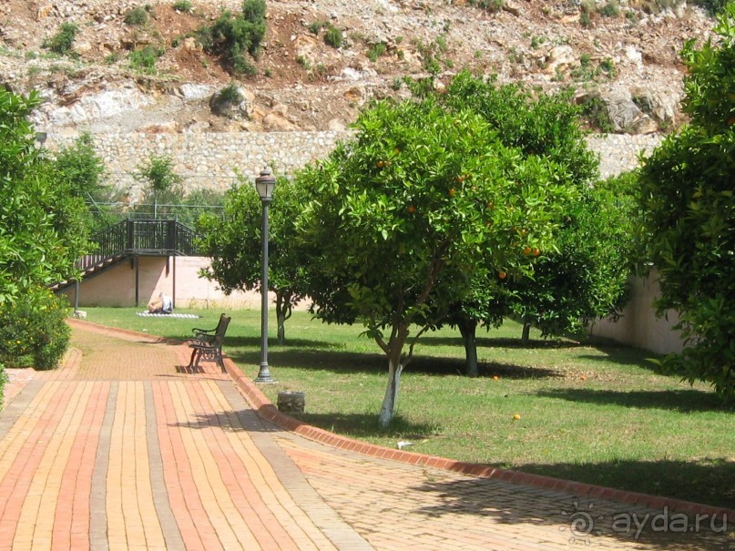 фото NoxInn Club Hotel