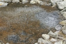 Феномен в д.Фурнаш