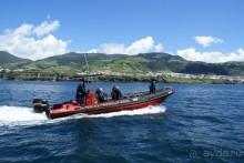 Смотр китов