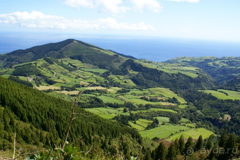 Пико Бартоломео