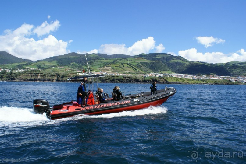 Смотр китов