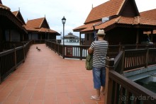 Только про обезъян. Остров Лангкави, Малайзия.