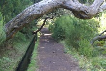 Левада на "25 водопадах"