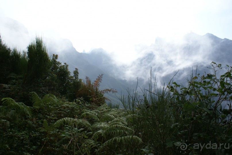 По левадам. Мадейра