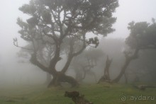 В центре острова, где частые туманы.