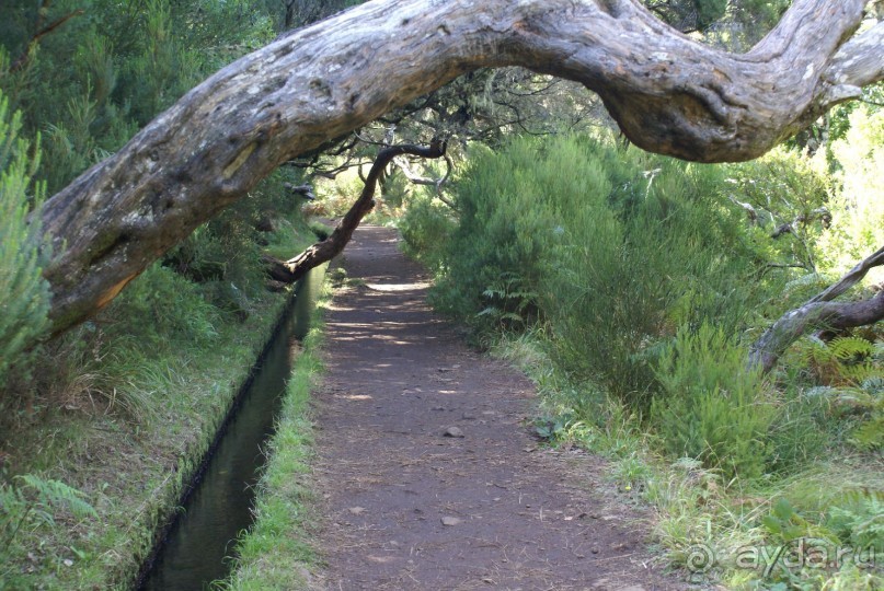 Левада на "25 водопадах"