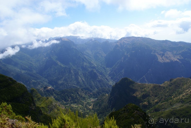 По левадам. Мадейра