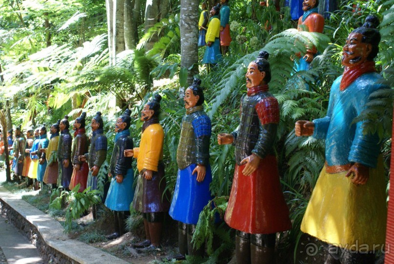 В тропическом саду. Фуншал