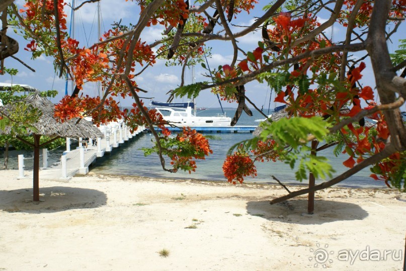 На колесах по Кубе