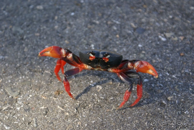 На колесах по Кубе