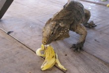 На колесах по Кубе