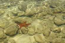 На колесах по Кубе