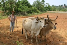 На колесах по Кубе