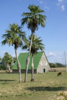 На колесах по Кубе