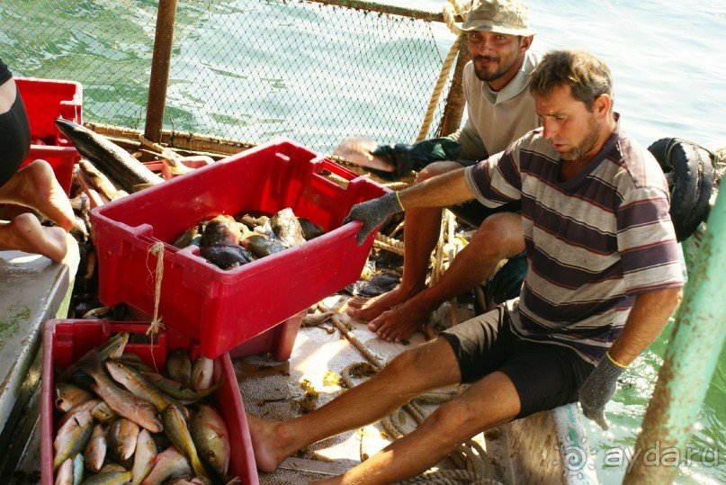 На колесах по Кубе