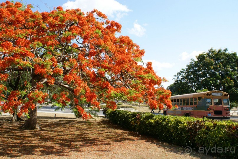 На колесах по Кубе