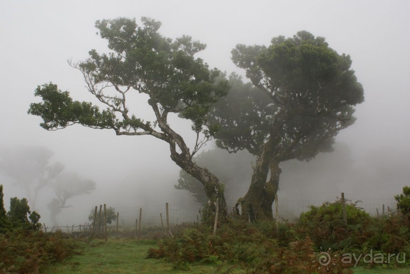 Таинственность