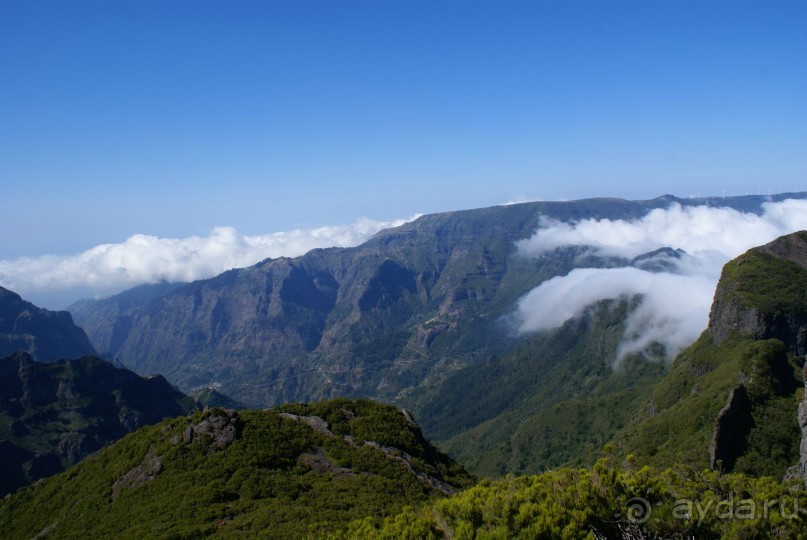 Пико де Ариейро