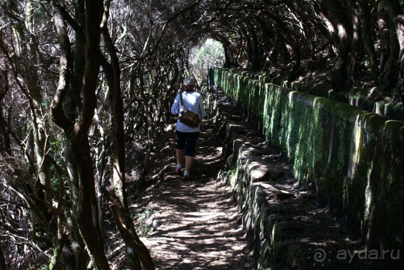 Вдоль левады к "25 водопадам"