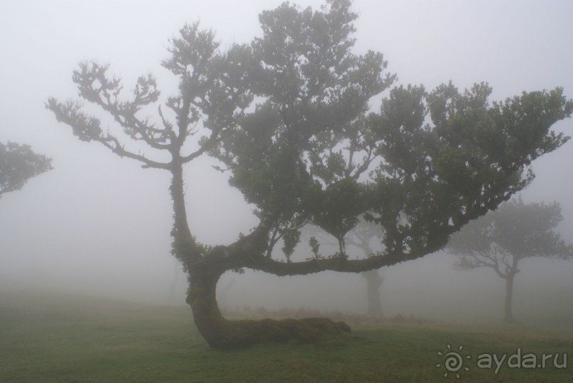 Сказочность