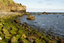 Яркая зелень и синий океан. Азоры.