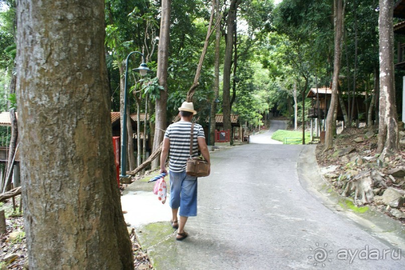 Дорожки к шале