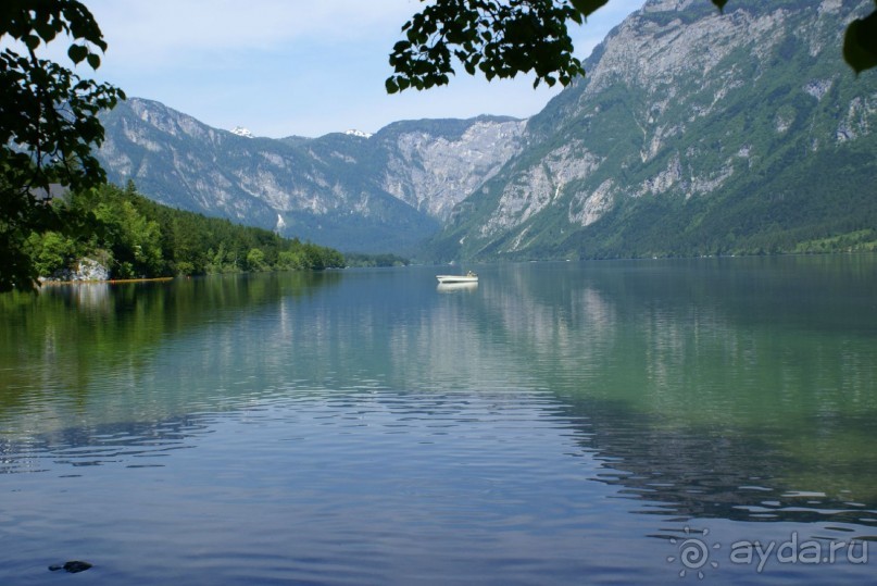 фото Bohinj