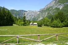 фото Bohinj