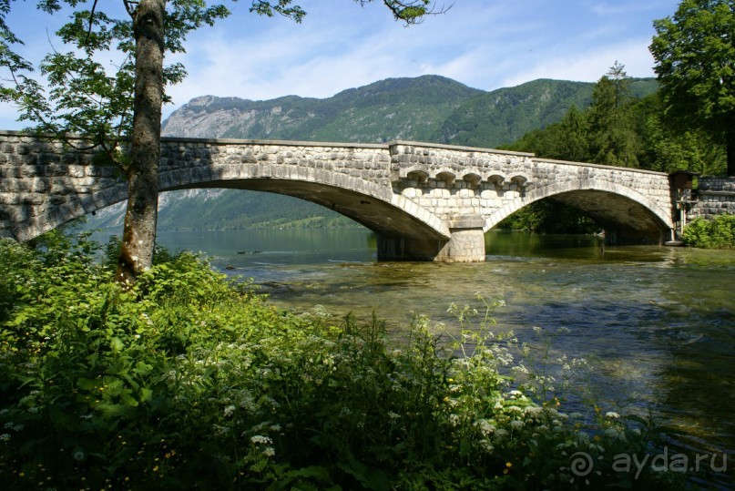 р.Савица, рядом с отелем