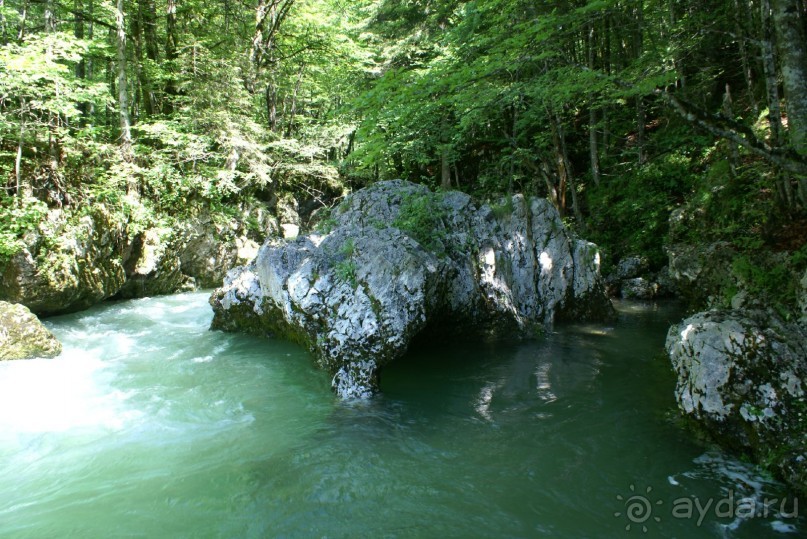 фото Bohinj