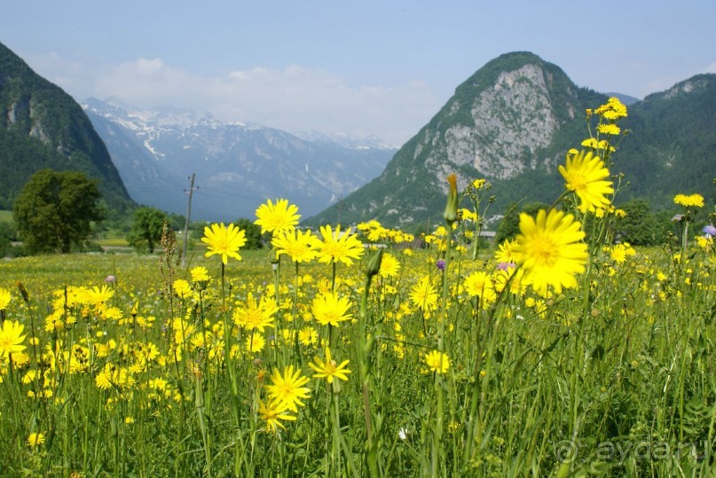 Одна из многочисленных долин