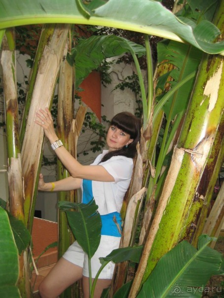 фото Antique Roman Palace