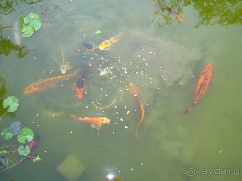 фото Antique Roman Palace