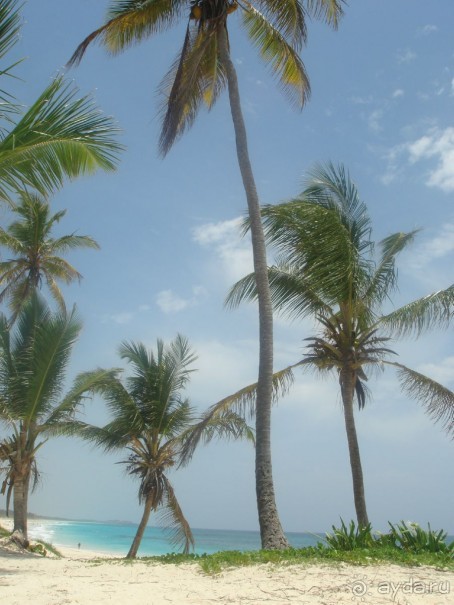 фото Occidental Caribe