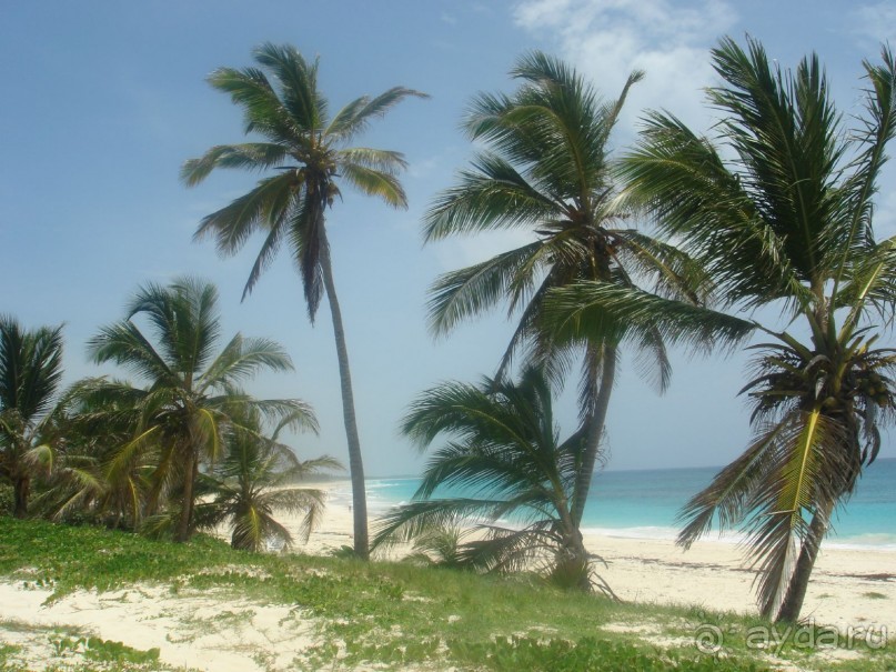 фото Occidental Caribe