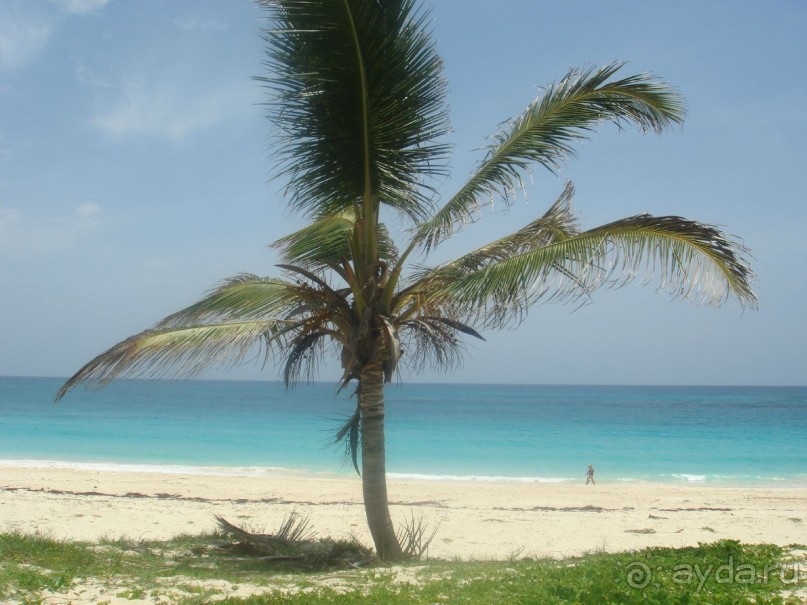 фото Occidental Caribe